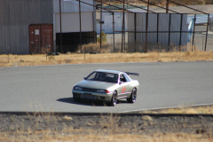 IMG_4262